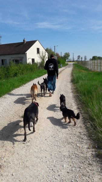 Dresscanin - photo 2