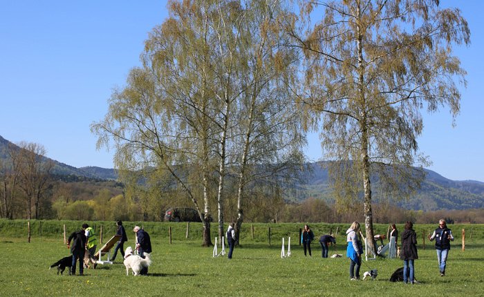 Club Cynophile Centre Alsace - photo 2