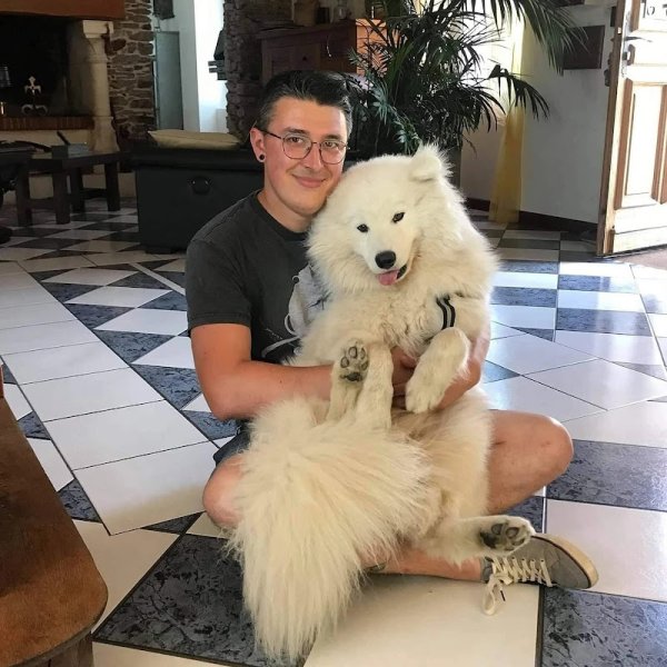 les p'tites pattes éducation canine - photo 2