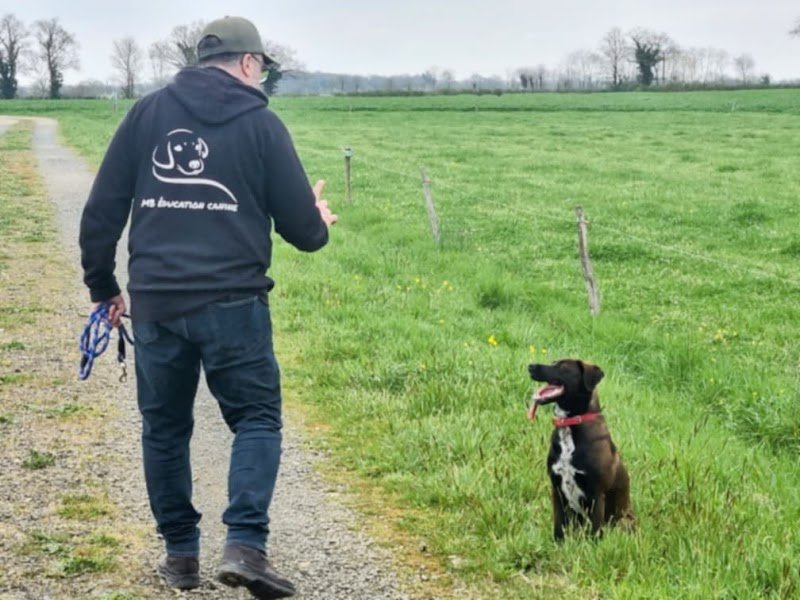 mickael bourigault éducation canine - photo 3