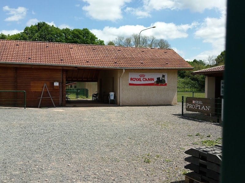 Club Canin Déodatien - photo 3