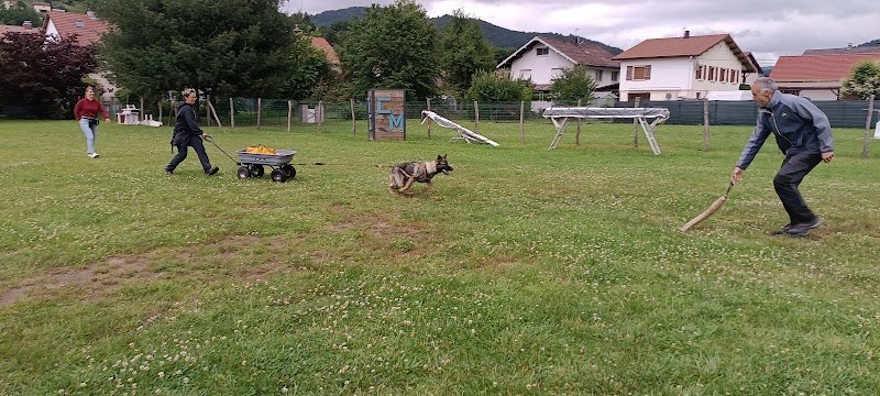 Training Club Canin de la MOSELOTTE