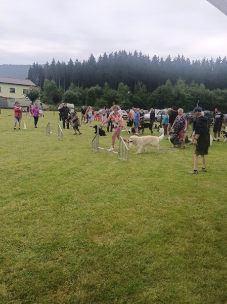Training Club Canin de la MOSELOTTE - photo 2