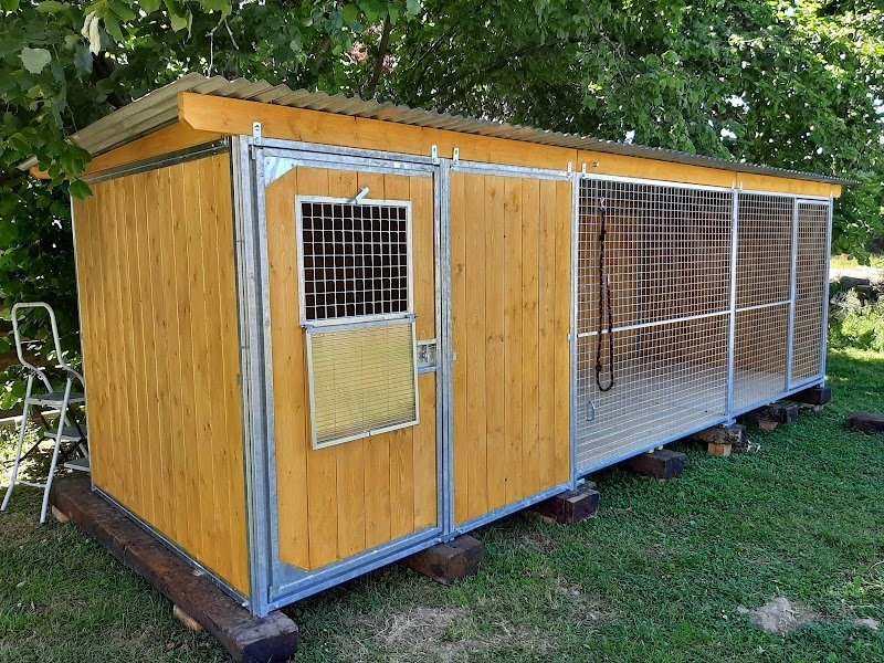 Educanest ,pension , education ,comportementaliste canin