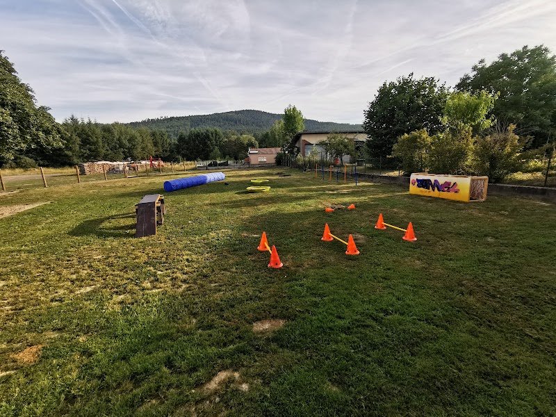 Educanest ,pension , education ,comportementaliste canin - photo 3