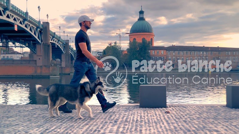 Patte Blanche Éducation Canine - photo 1
