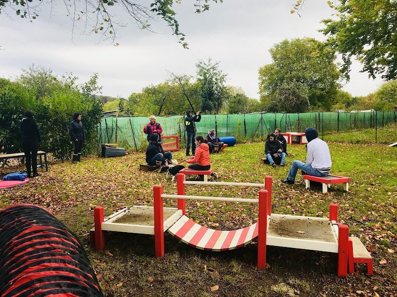 association canine fertoise - photo 1