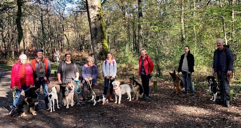 Dog Master Class - Educateur canin à Fontenay le comte