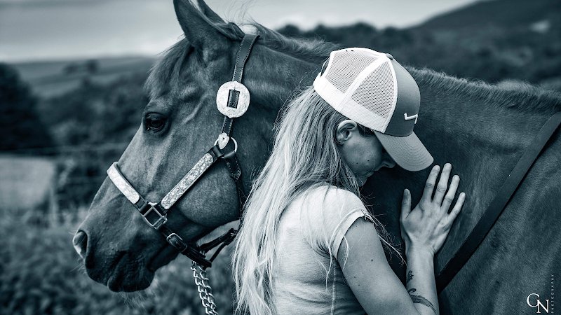 Nolwenn Dribault - Osteopathie Vétérinaire - Médecine Manuelle Holistique Équin Canin Bovin