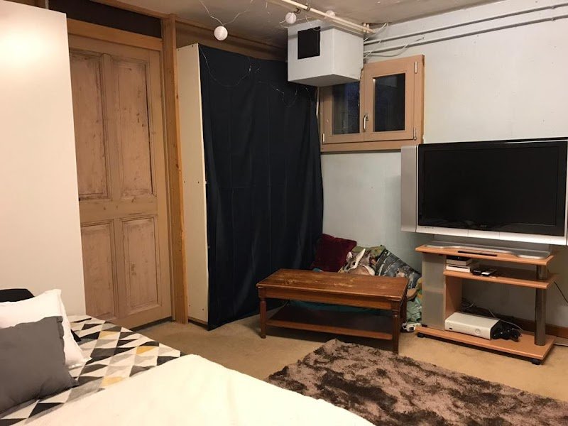 Lucky Doggies - photo 1