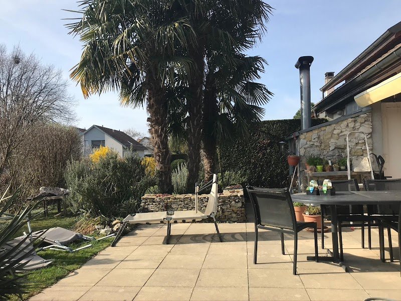 Lucky Doggies - photo 2