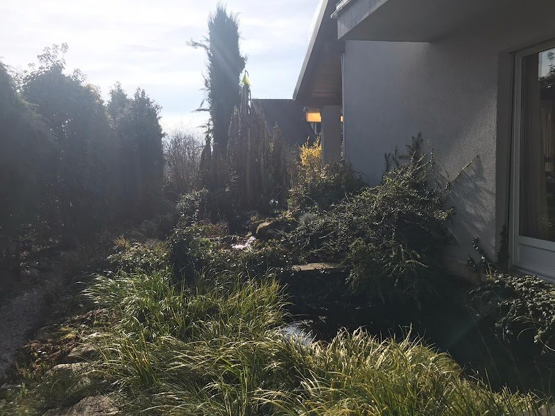 Lucky Doggies - photo 3