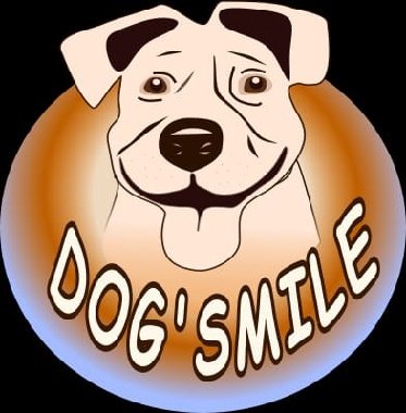 Dog'smile Éducateur comportementaliste canin - photo 1