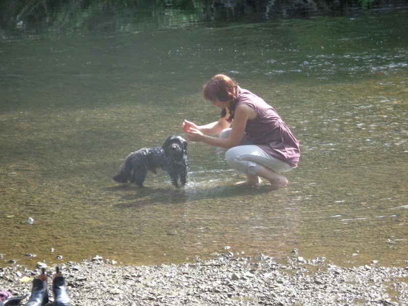 AEquilibrium - Comportementaliste canin, félin et équin - photo 3
