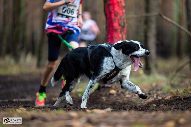 canisports 58 bouge avec ton chien - photo 3