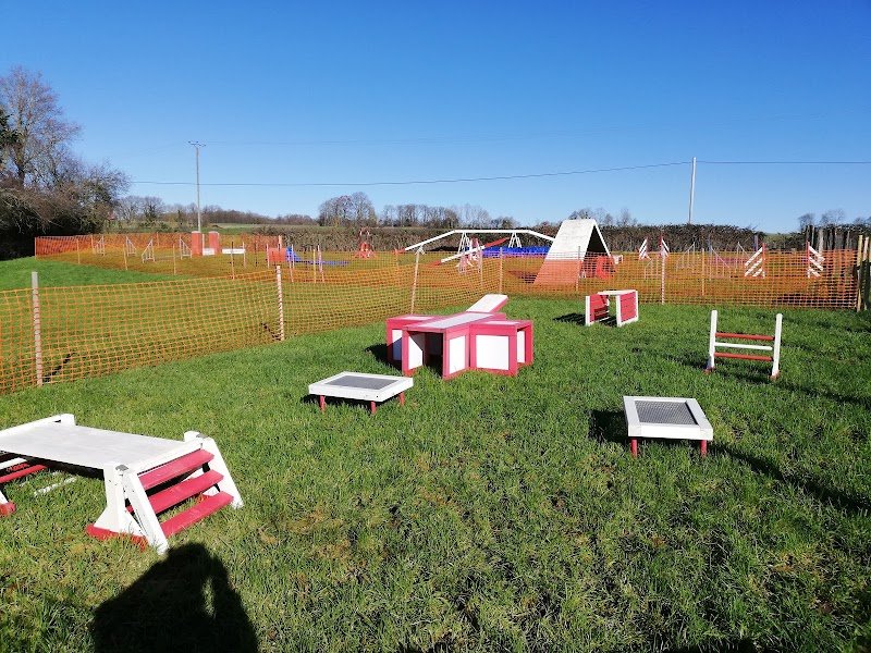 Centre Canin Procyno - photo 2