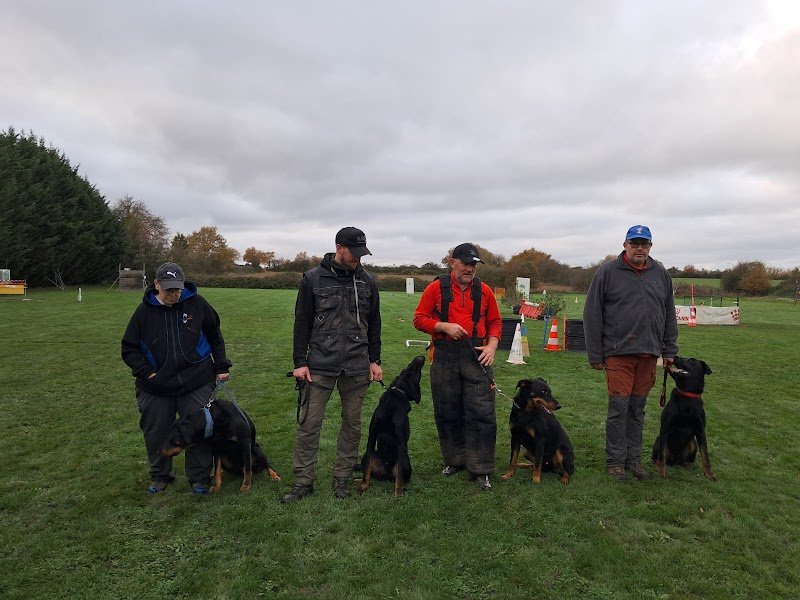 Educ. Coaching Canin Aux Mill's Poils - photo 1