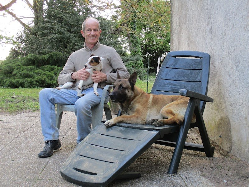 ABC Education canine 37