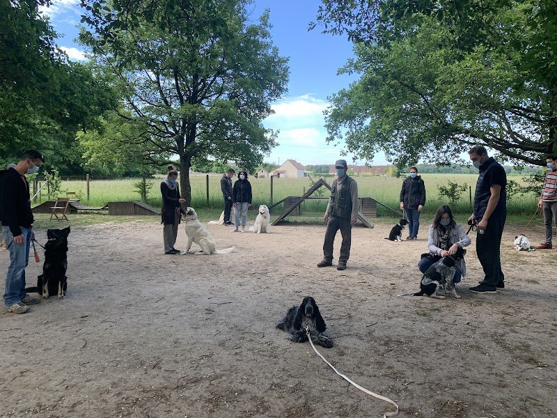 ABC Education canine 37 - photo 2