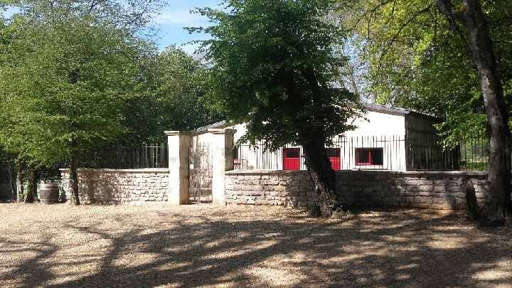 Pension canine et féline de Bizy - photo 3