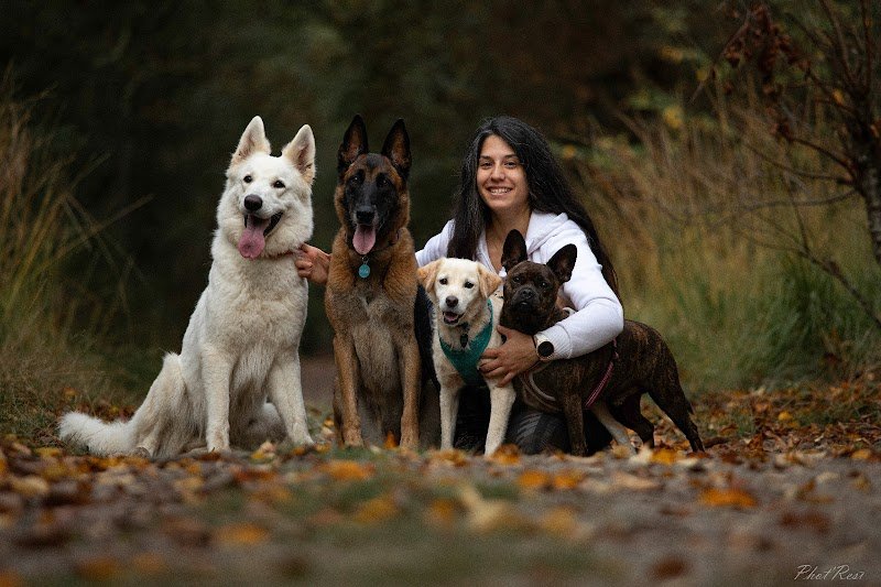 Audrey d' Éducateur canin du coin - comportementaliste 🐶/ dresseur de chiens / Livry-sur-seine Melun La Rochette