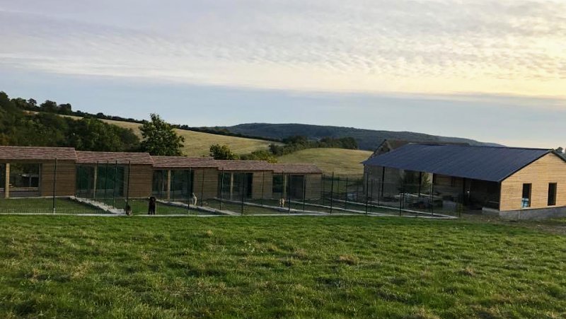 Pension canine et féline du domaine de la Bourdillerie