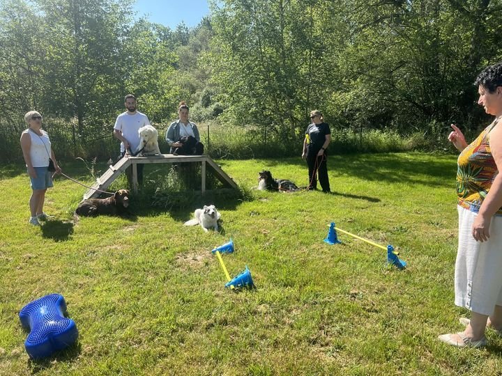 ChoubiDog45 - photo 1