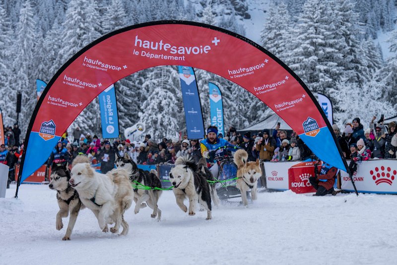 club français des chiens nordiques et des spitz du japon - photo 2