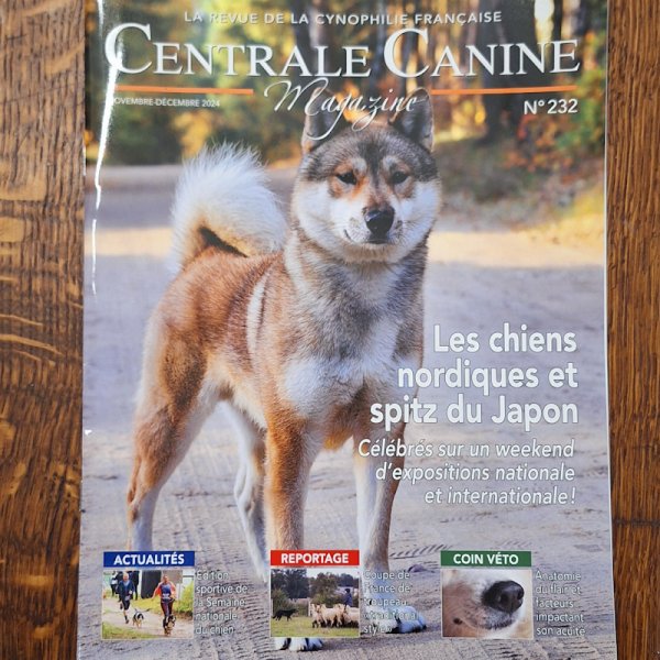 club français des chiens nordiques et des spitz du japon - photo 3