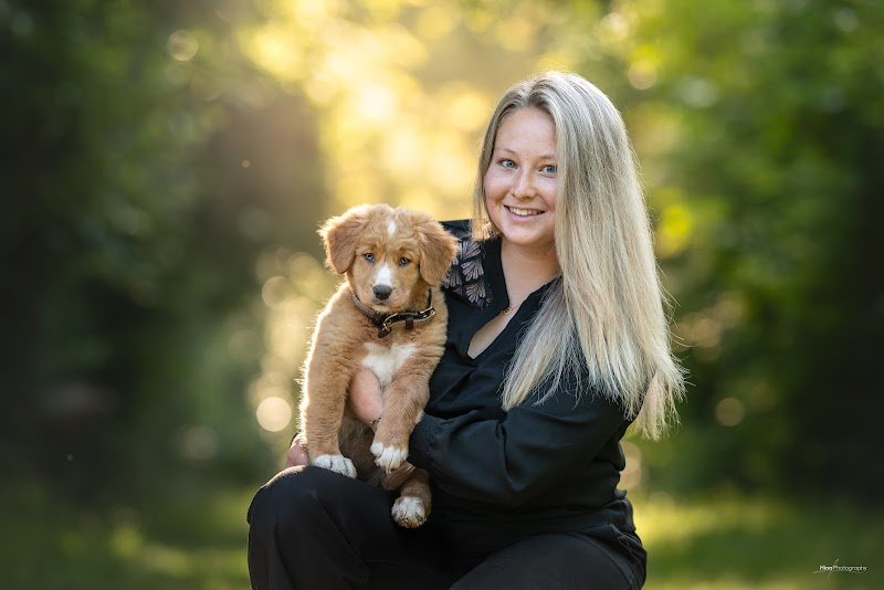 OCÉ-chiens - photo 2