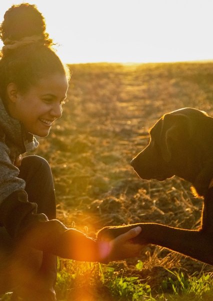 Autrement Canin - Educatrice comportementaliste canin