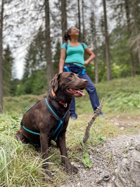 Autrement Canin - Educatrice comportementaliste canin - photo 3