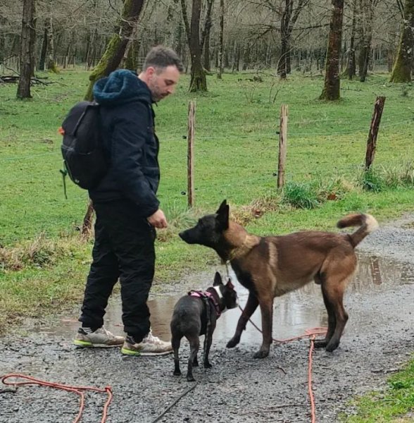 EAZY DOG'Z Pro Éducateur canin comportementaliste_Éducateur canin autour de moi _Améliorer le comportement de votre chien - photo 2