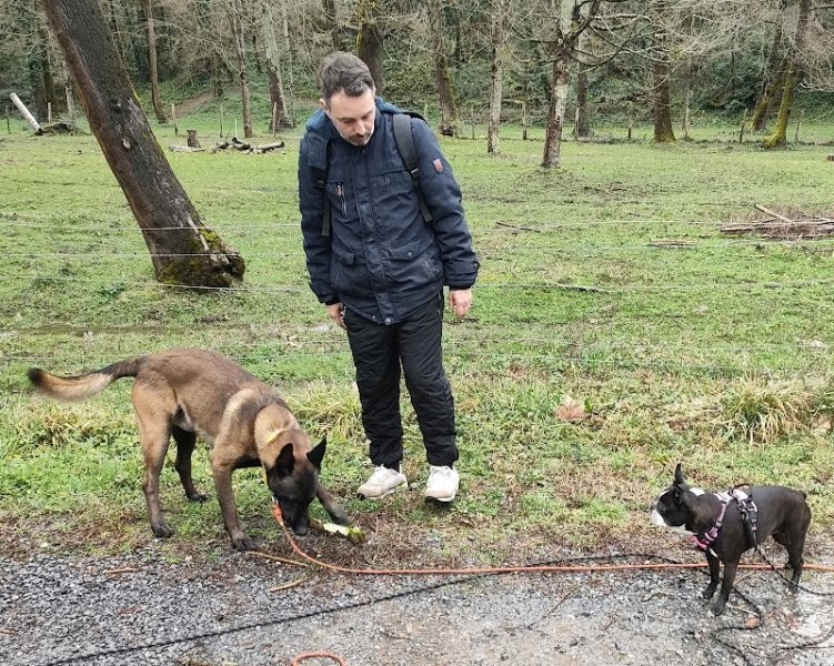 EAZY DOG'Z Pro Éducateur canin comportementaliste_Éducateur canin autour de moi _Améliorer le comportement de votre chien - photo 3