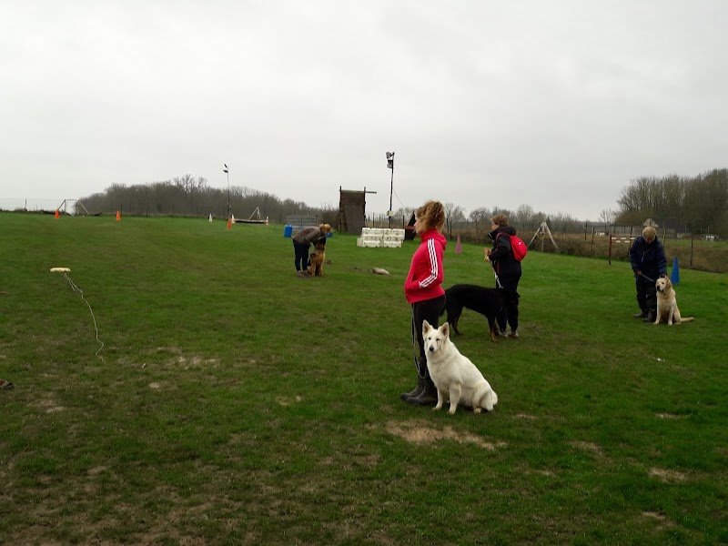 Amillis Sport Canin - photo 1