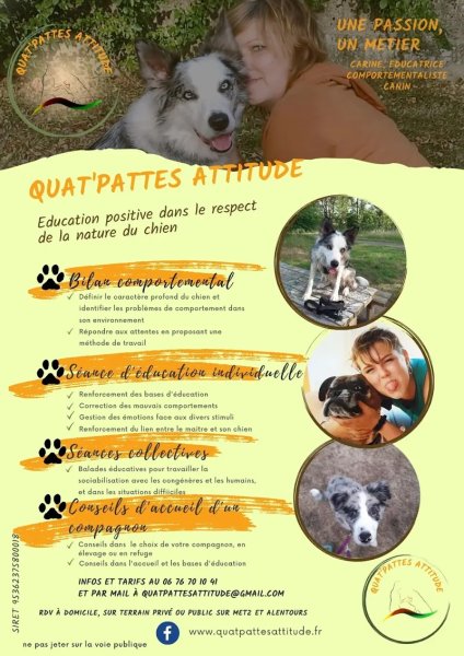 QUAT'PATTES ATTITUDE : Educatrice Comportementaliste Canin, Metz, Metz Sud et environs