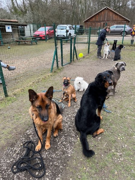 A l'Oreille du Chien - photo 1