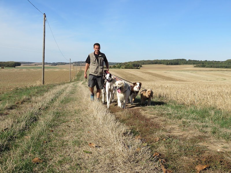 JP KAUFFMANN Éducateur Comportementaliste Canin - photo 2