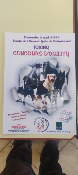 Club Canin de Joigny - photo 3