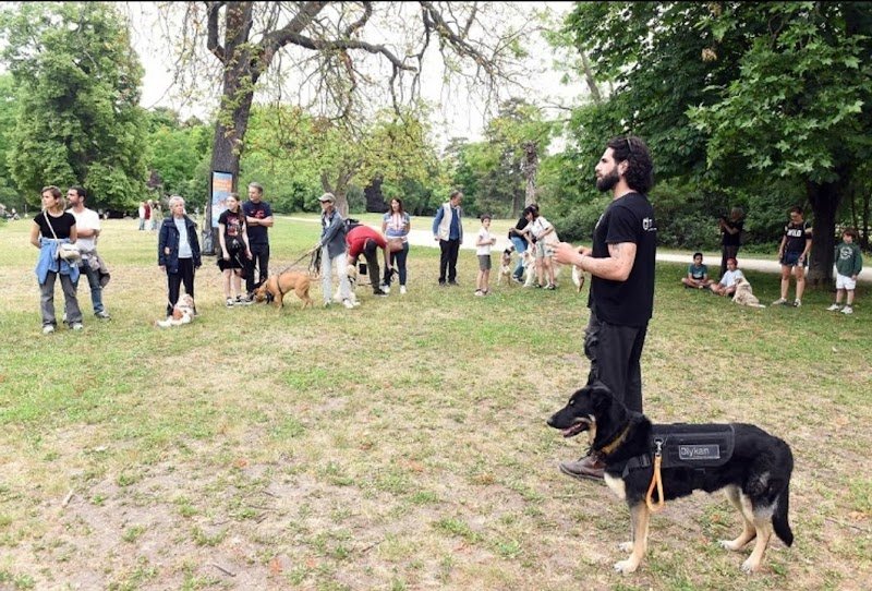 Olykan - éducation canine Paris - photo 2