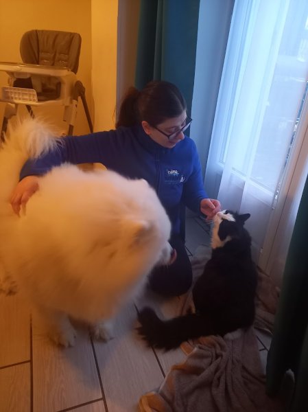 Kats & co - comportementaliste félin/canin et éducatrice canin