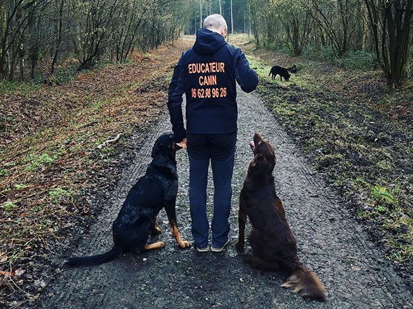 We Love Dogs - photo 1