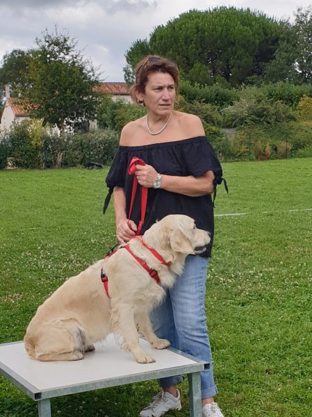 Leloup éducation canine - photo 2