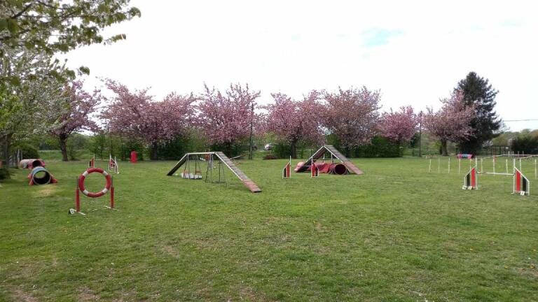 CLUB D'EDUCATION CANINE DE MONT SAINT AIGNAN - photo 1