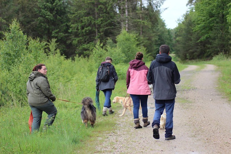 Mathisdesliens - Educateur canin - photo 2