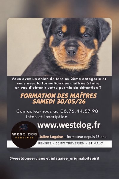 West Dog Services - Julien LAGAISE - Éducation canine depuis 2005