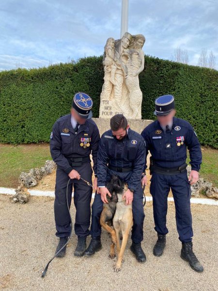 ETB-K9 Academy éducateur comportementaliste canin - photo 2