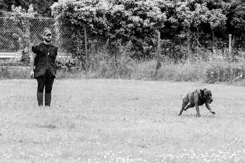 ETB-K9 Academy éducateur comportementaliste canin - photo 3