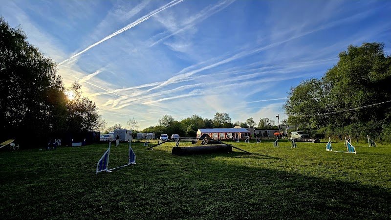 ECAF éducation canine ferrière la petite - photo 3