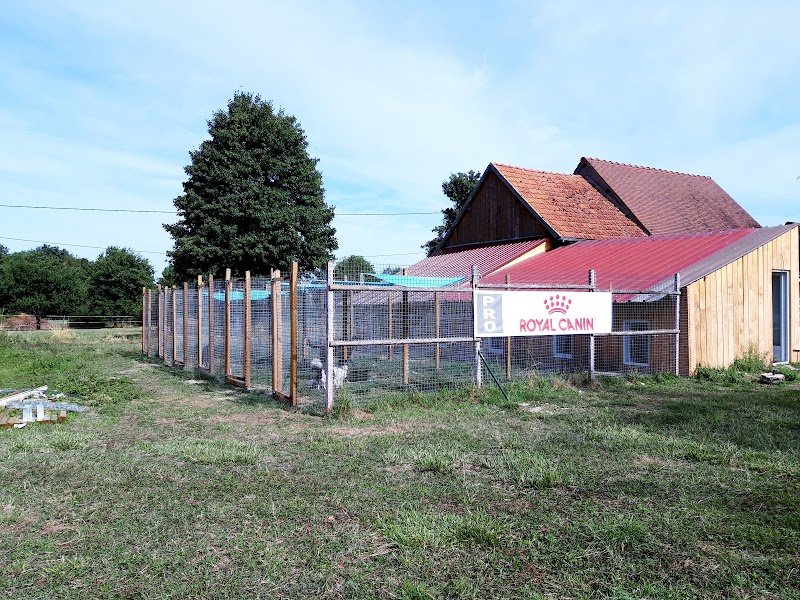 Pension canine et féline La forêt du lys